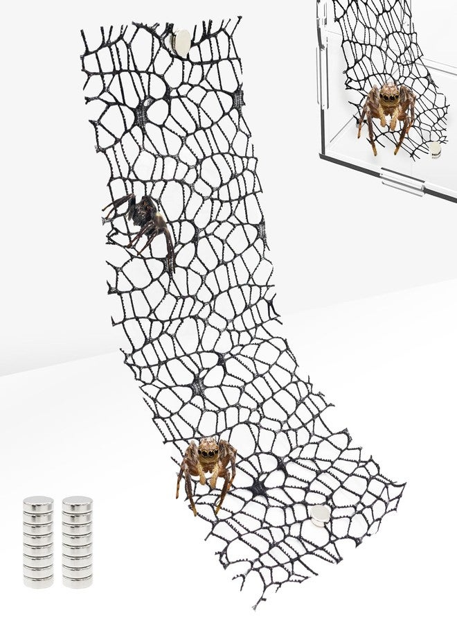Niuohoy 6 Pack Tarantula Enclosure Accessories Jumping Spider Habitat Accessories with 16pcs Magnets Spider Terrarium Decoration Praying Mantis Habitat Jumping Spider Climbing Mesh (Black) - Image 1